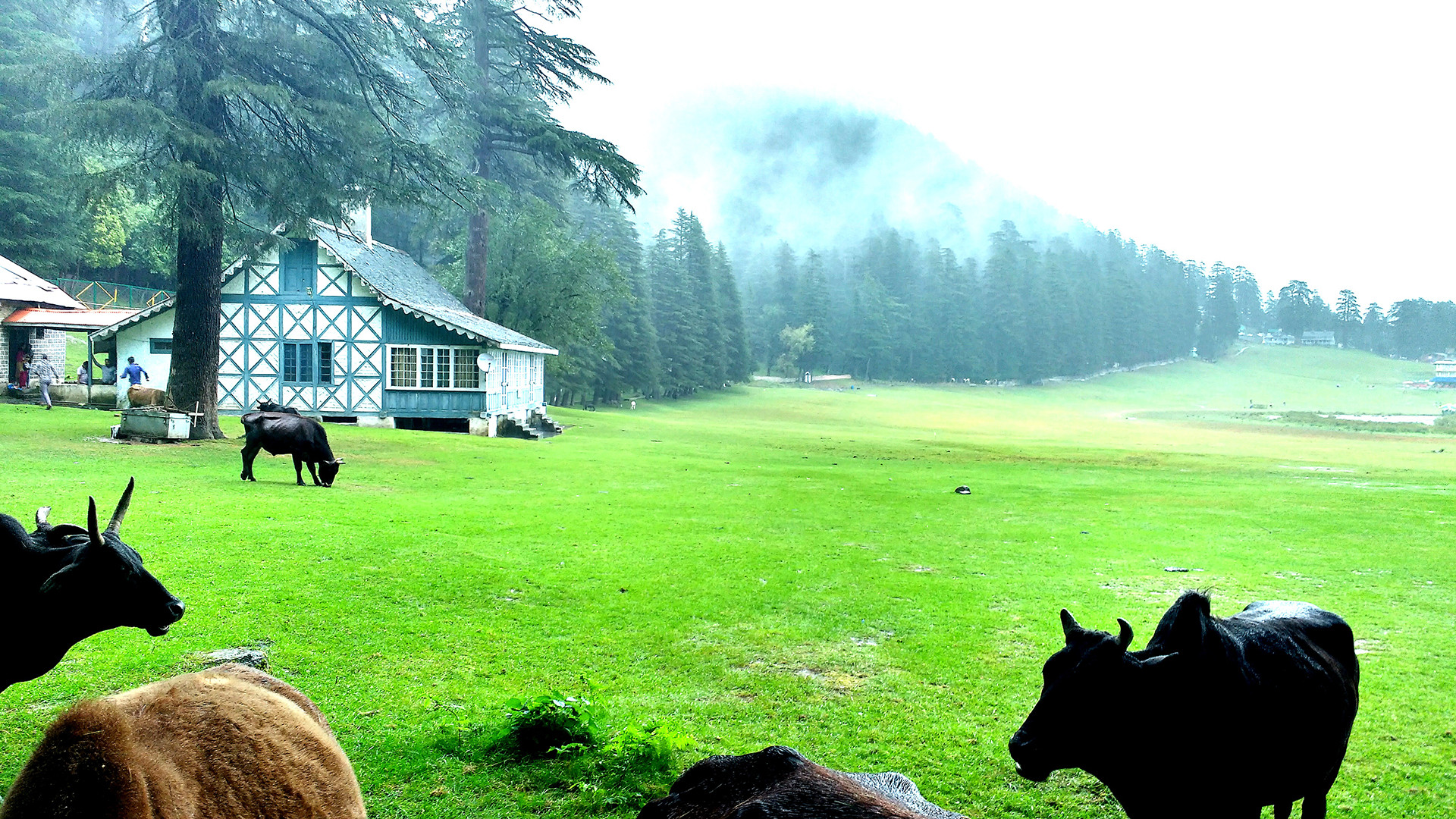 Dharamshala Dalhousie Tour Package