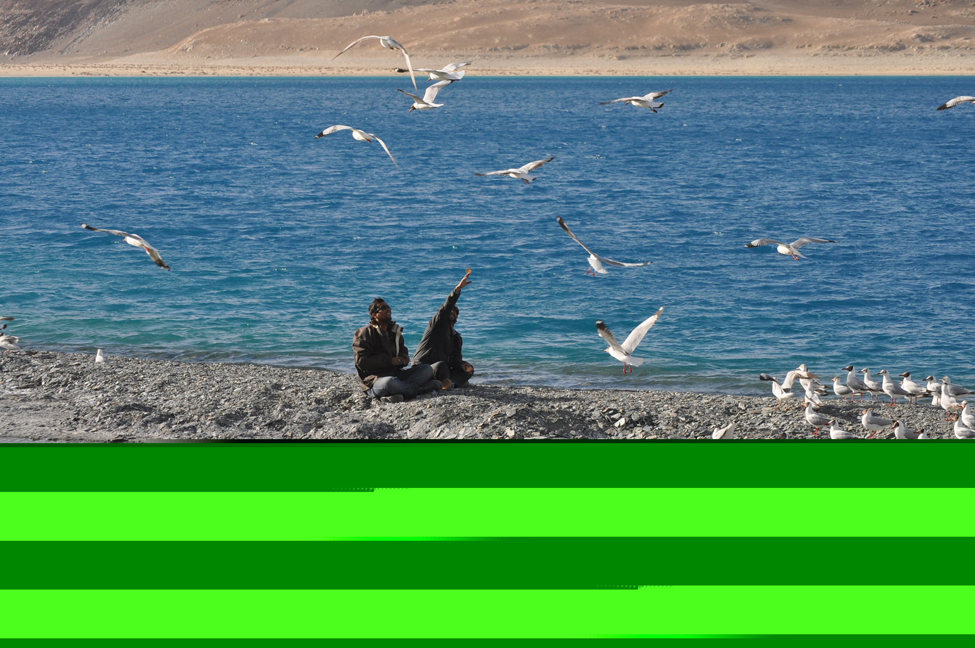 Royal Himachal Tour Package